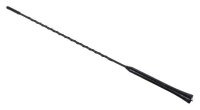 Antenne COMPASS